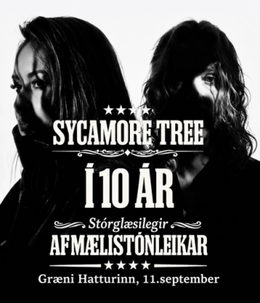 Sycamore Tree