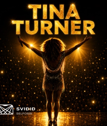 Tina Turner Heiðurstónleikar